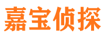 汪清市侦探调查公司